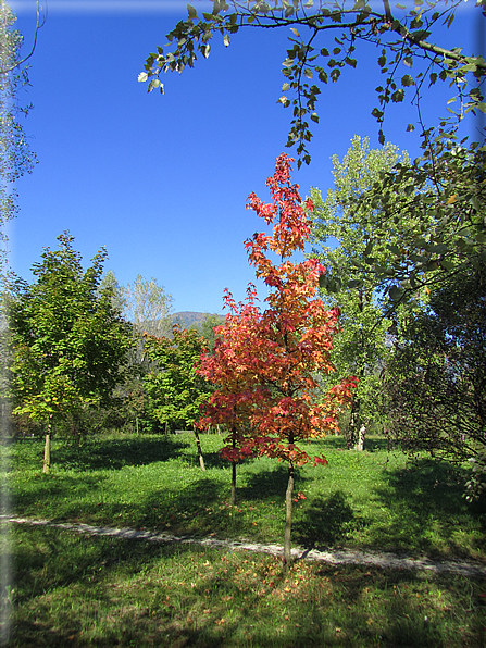 foto Oasi San Daniele